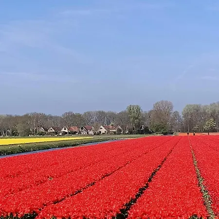 Üdülőpark Plevier Comfort-2 By Interhome