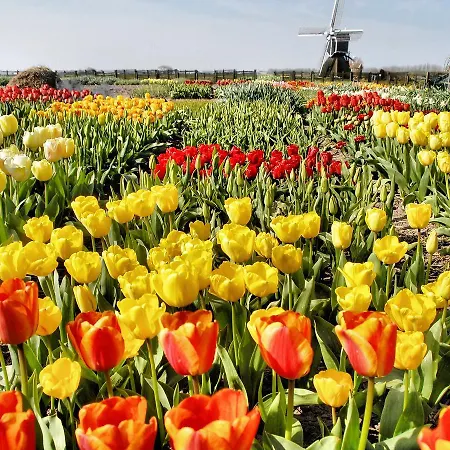 Plevier Comfort-2 By Interhome Noordwijk