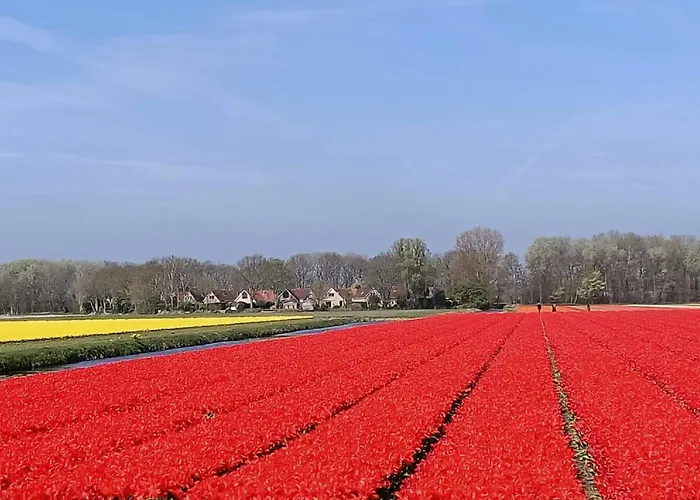 Parco vacanze Plevier Comfort-2 By Interhome